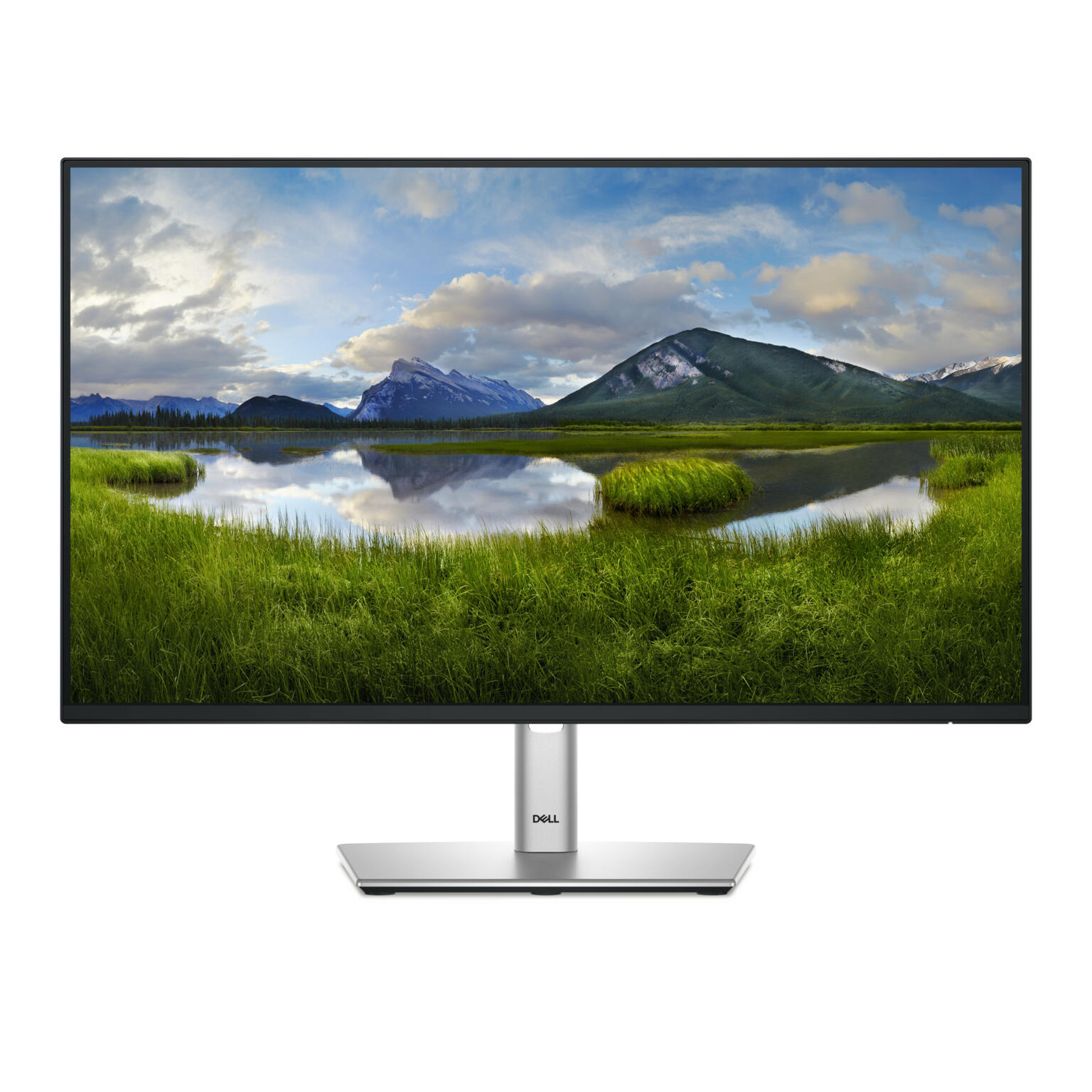 Dell P2425H